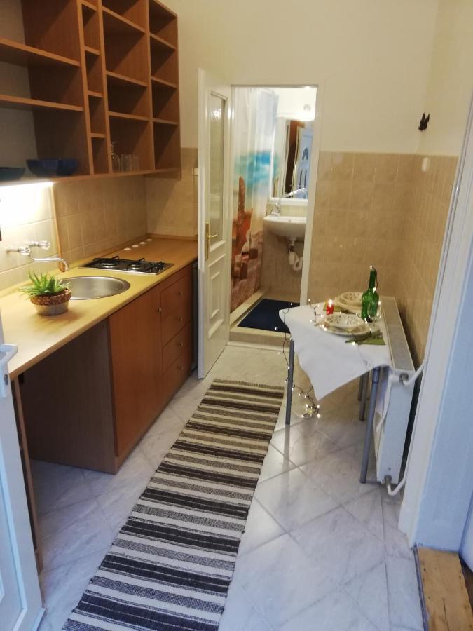 דירות Varosliget Apartman בודפשט מראה חיצוני תמונה